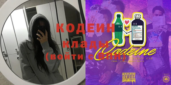 соль ск Коряжма