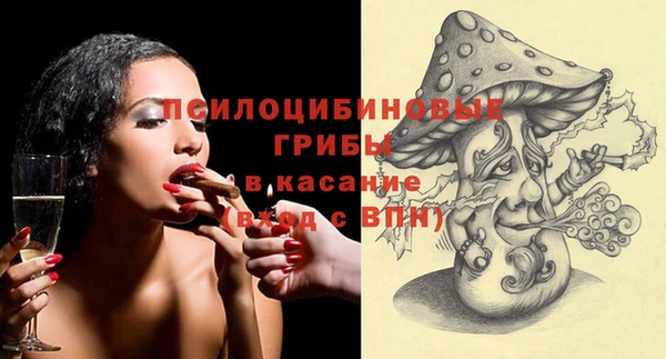 гидра Козловка