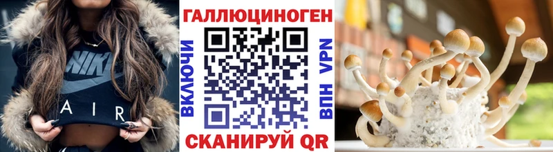 Псилоцибиновые грибы Psilocybe  Ядрин 