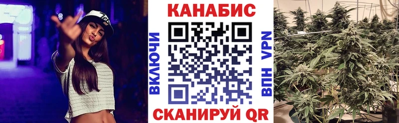 мега маркетплейс  Ядрин  мориарти состав  Марихуана марихуана 